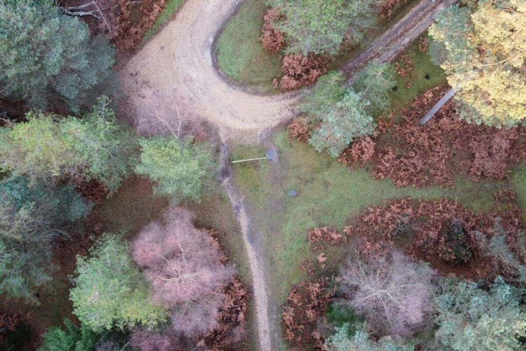 One of the easiest walks in New Forest.