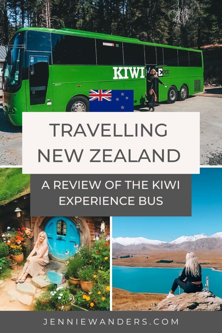 kiwi experience bus tours