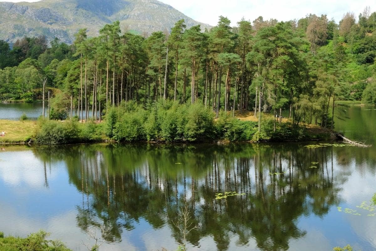 12 Easy Walks in the Lake District With AMAZING Views!