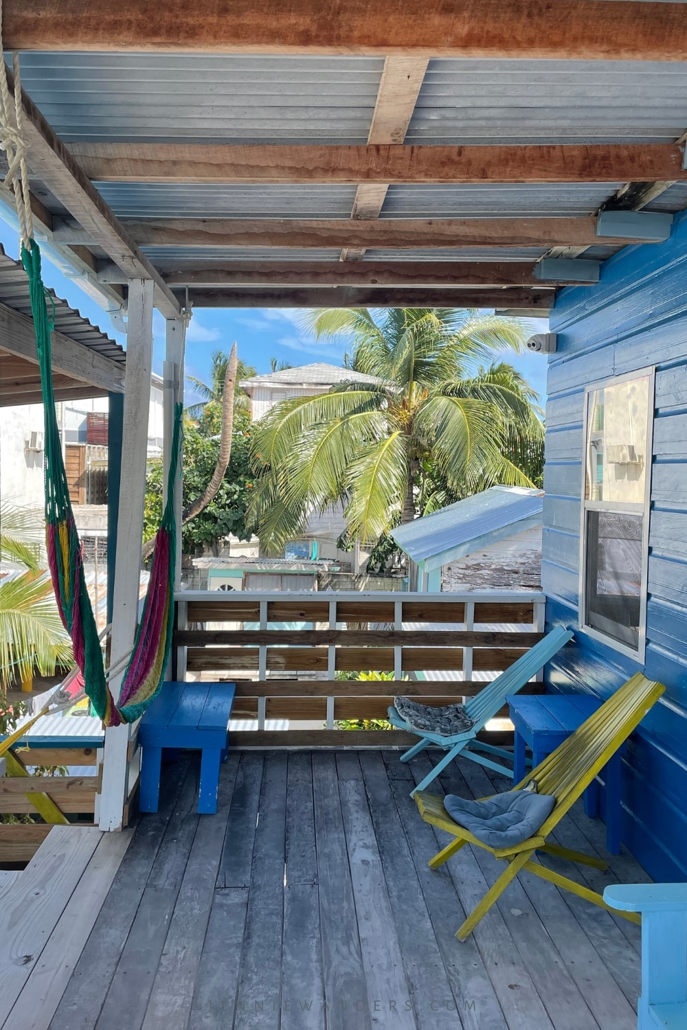 Shark Ray Alley Caye Caulker: Complete Guide (2023)