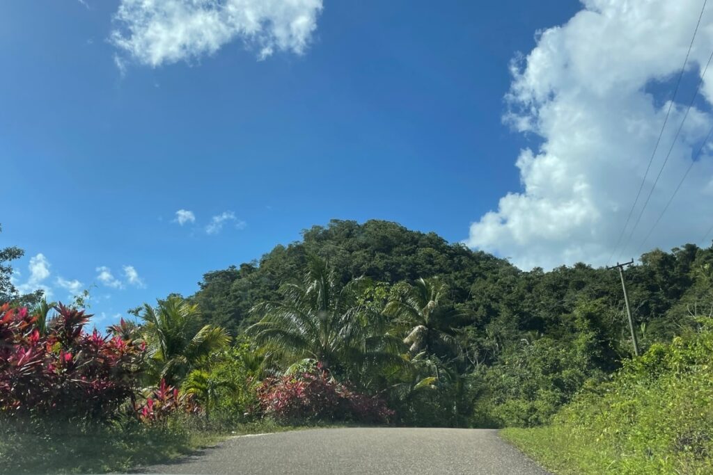 Driving in Belize